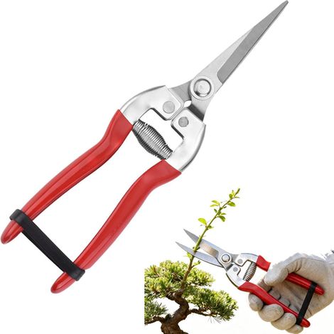 Sécateur, Sécateurs à Lames croisantes, Adapté à la Taille des Branches dans Le Jardin et à la Taille des Fleurs(Rouge)