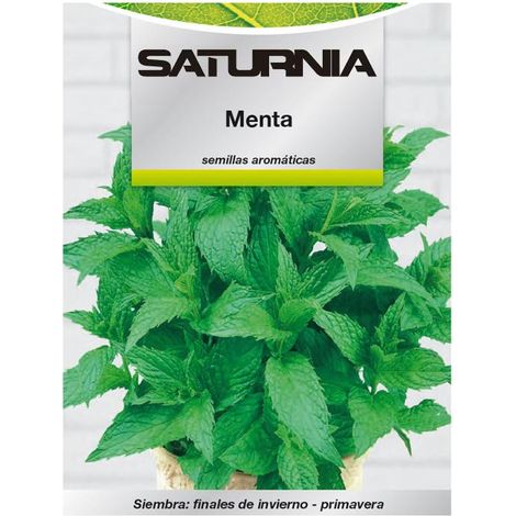 Semillas Aromaticas Menta (0.3 gramos) Horticultura, Horticola, Semillas Huerto. (1/2)