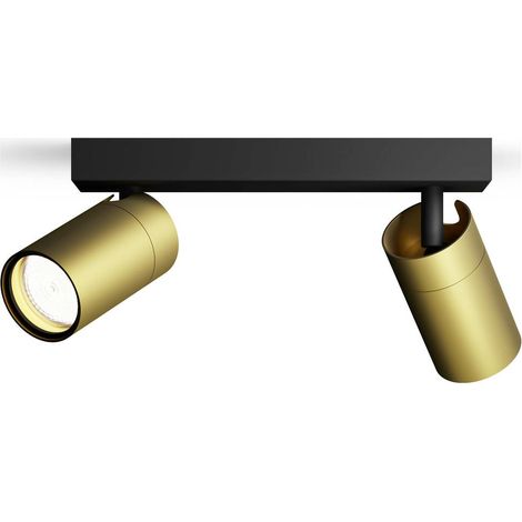 Spot da soffitto Philips Idris Oro e Nero 24 cm (1/5)