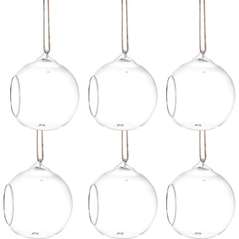 6 Stück hängende Glasvasen für Sukkulenten mit flachem Boden