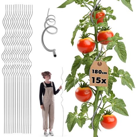 Tuteur spiralé en aluminium pour plantes, 180 cm, lot de 15 (1/5)