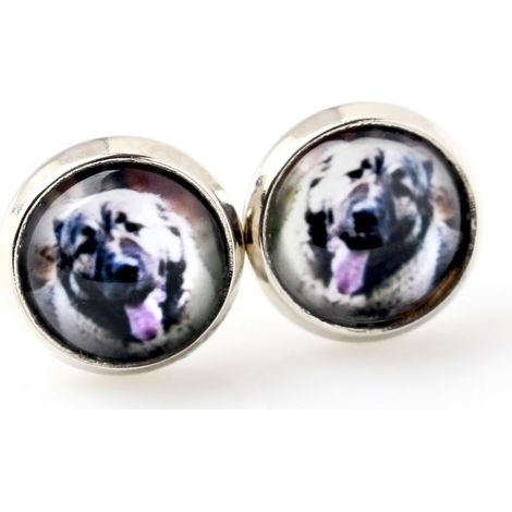 Perro pastor caucásico - pendientes hechos a mano, tu propia foto, joyería artística para perros (1/4)