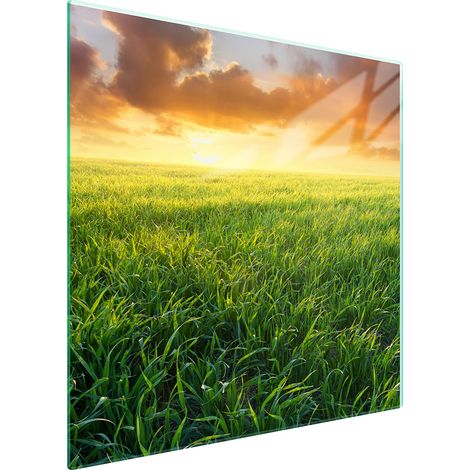 PLACA PROTECTORA DE VIDRIO PARA ESTUFA 50x52 VER (1/5)
