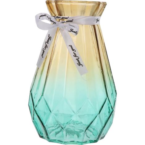 Vase Hydroponique en Verre Dégradé Moderne pour Arrangement Floral Décoration Maison Chambre D'garçon et Filles (1/5)