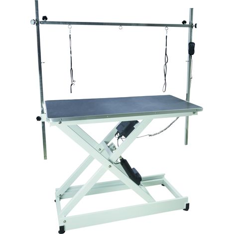 Table de toilettage électrique pour chien jusqu'à 100 kg – Vérin électrique – Plateau 110 x 60 cm – Hauteur réglable 42 à 100 cm – Chadog (1/6)