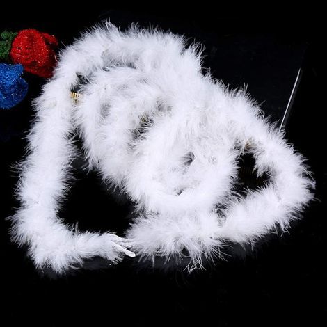 Guirlande de plumes blanches de Noël de 1,98 m, boa de plumes pour loisirs créatifs, guirlande de plumes duveteuses pour sapin de Noël, ruban de plumes pour décoration de mariage, de fête ou d'Hallowe (1/5)
