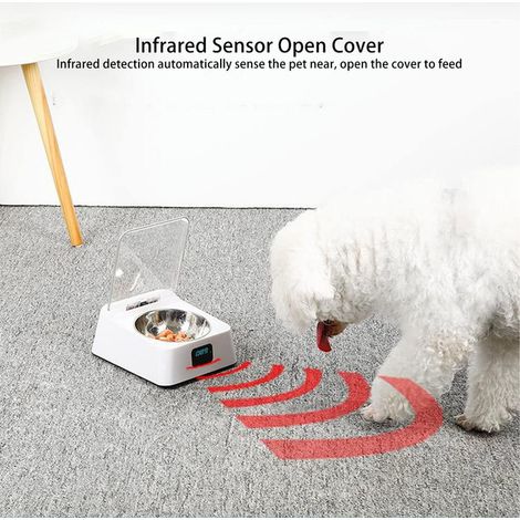 Distributeur de nourriture pour animaux intelligent avec couvercle automatique à capteur infrarouge et bol en acier inoxydable pour chat et petit chien (1/5)