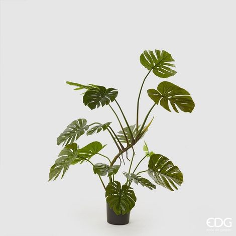 EDG Enzo De Gasperi Monstera Pianta con Vaso Artificiale H 128 Cm Green (1/3)
