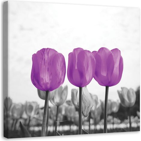 Tableau sur toile Tulipes prairie nature fleur Lila 40x40 (1/5)