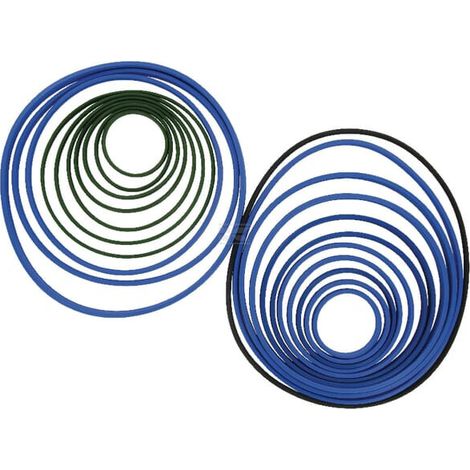 Dichtungssatz Serie 1000 10-St DI NATALE-BERTELLI TC91029