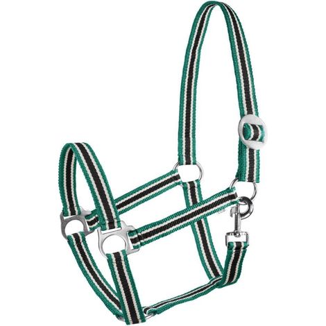 1 Licol Cheval Nylon Réglable Mousqueton Robuste Confortable Écurie Poney