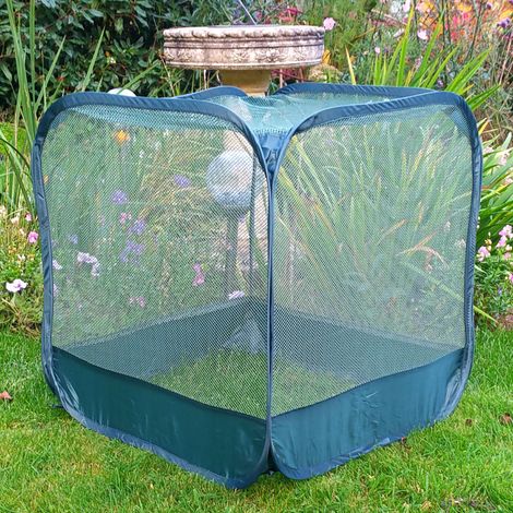 Mini Pop Up Net Fruit Cage - 50cm x 50cm x 50cm (1/5)