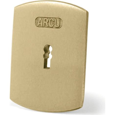 Bocallave Arcu-Block Borjas Efecto Inox   - Bocallave BORJAS Arcu tornillo oculto (1/2)