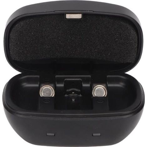 Cellfast – Chargeur de piles rechargeables 312 – 2 piles 155mAh – Charge rapide USB – Design portable pour amplificateurs auditifs (1/4)