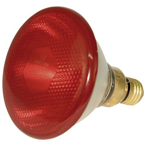 Kerbl Infrarot Wrmestrahler für Küken, Wrmelampe 100 W, Wrmestrahlgert