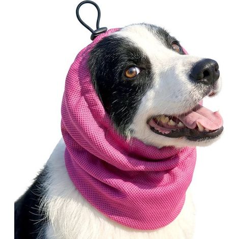 Copricapo per animali domestici, taglia S: circonferenza del collo 30-44 cm, lunghezza 27 cm. Protezione per le orecchie dei cani. Fascia antiscivolo, regolabile. Protezione per le orecchie per cani d (1/5)