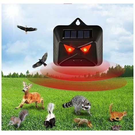 Répulsif solaire pour animaux sauvages : ratons laveurs, chevreuils, renards, sangliers – sans piles, résistant aux intempéries (1/5)