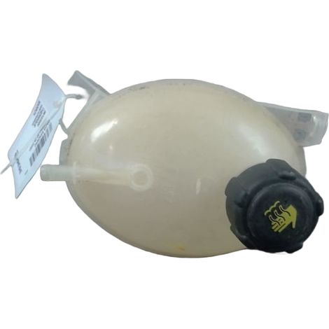 [PRODUIT D'OCCASION] Vase Expansion DACIA Sandero 2008- ♻️ Ref Oe. 217104354r - Garantie à vie (1/3)