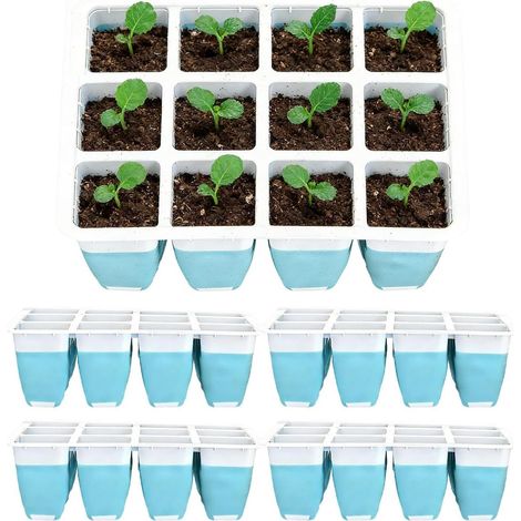 Trays 5 Stück 60 Wiederverwendbare Silikon Anzuchtschalen