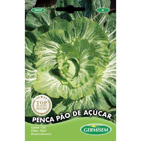 graines Chou PÃO DE AÇUCAR