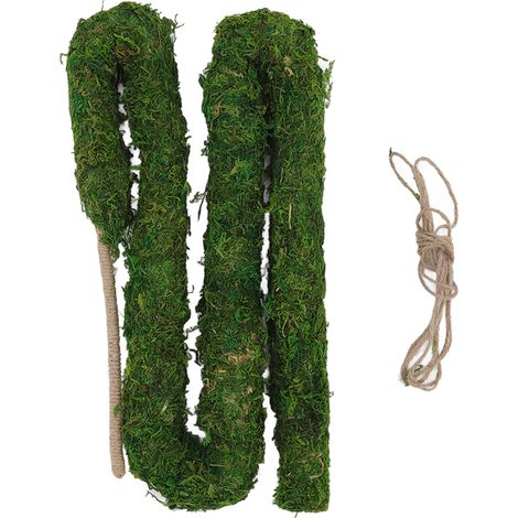 Tuteur flexible pour plantes grimpantes DIY, tige de mousse vert foncé 120 cm, support pour lierre, piquet de croissance, 1 pièce en boîte (1/5)