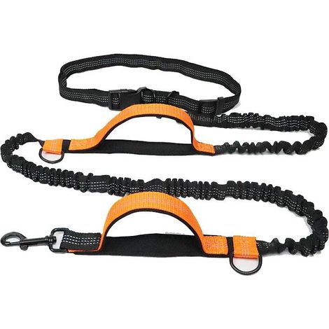 Correa elástica para perros - 160 cm - Cuerda elástica de primera calidad - Negro/naranja (1/5)
