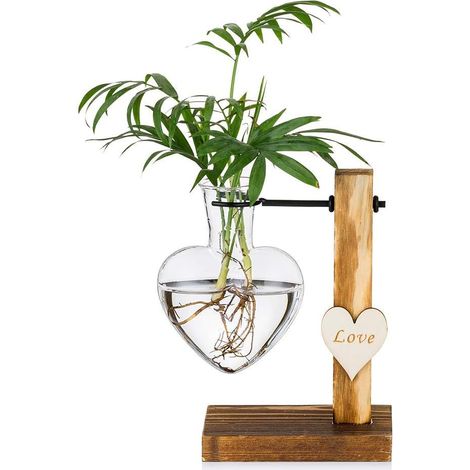 Vase en Verre avec Support en Bois, Vases Hydroponiques à Cœur (1/5)