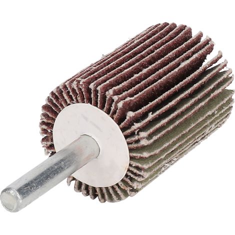 10 pièces meules à lamelles ponçage polissage abrasif tige 6 mm 30 x 40 x 6 mm (1/5)