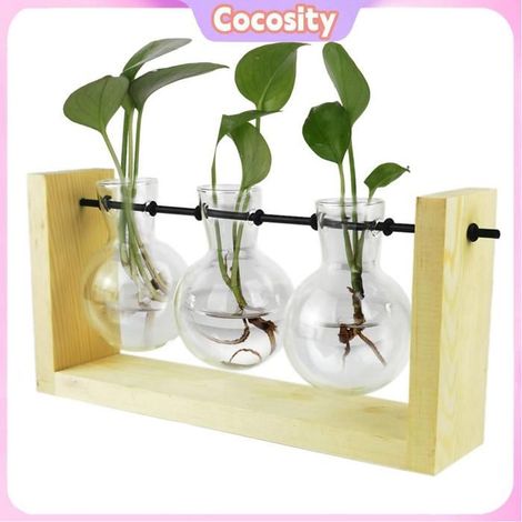 Cocosity Terrarium végétal Vase hydroponique Simple, Vase à fleurs décoratif en verre, Terrarium pour plantes avec linge vase (1/5)