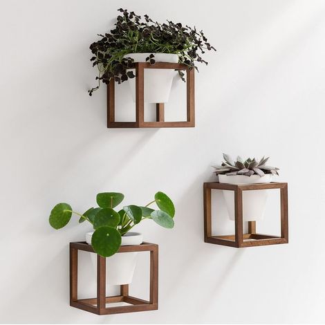 Jardinières Murales,Pots de Fleurs Suspendus dans des Cadres en Bois Massif,Ensemble de Porte-Plantes en Céramique et Bois pour Murs, Tables et Plus,Brun Noyer (1/5)