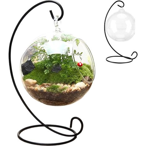 Terrarium pour plantes aériennes avec support en fer noir, terrariums en verre transparent pour plantes, à suspendre, kit de terrarium amusant à faire soi-même, pour petites plantes succulentes (1/5)