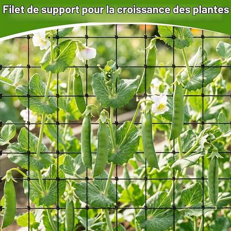 Filet pour Plantes Grimpantes,Treillis Potager 80  80CM (1/4)