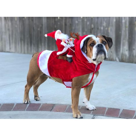 Manteau pour Chien Noel,  avec Le Père Noël sur Son Chat Pull Chien Noel Rouge - L (1/5)