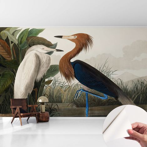 Carta da parati autoadesiva - fotomurale - alta qualità - per la cucina - camera da letto - Uccelli tra le piante 416x254 cm (1/5)