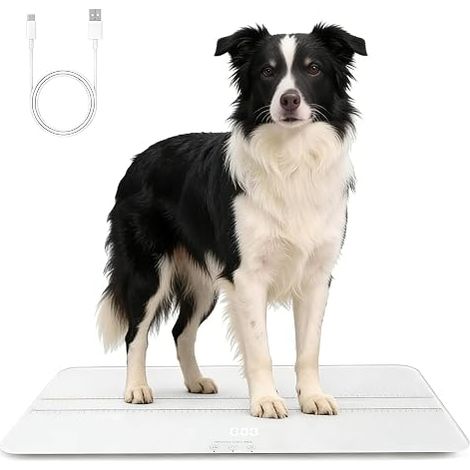 Balance pour Chiens, 3 Modes de Pesée, 100kg, Précision 10g, 69.5 x 33 cm (1/5)