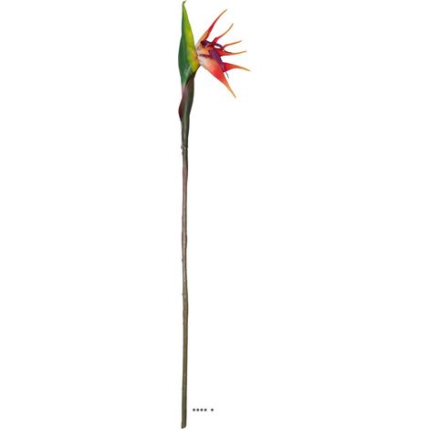 Strelizia Arabica artificiel H 80 cm oiseau du paradis tête latex (1/4)