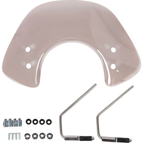 Parabrezza per moto in acciaio al carbonio e acrilico, deflettore antivento di ricambio per parabrezza di scooter, per GTS 300 250 125 Super 125-300, per tutte le stagioni, grigio fumé. (1/5)