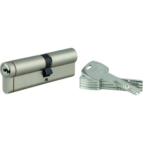 THIRARD - Lot de 10 cylindres Transit 1 40x60mm, nickelé, 5 clés - THIRARD
