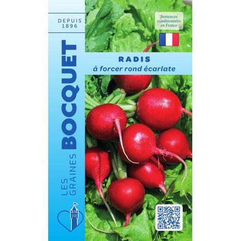 Radis à forcer rond écarlate - 10g