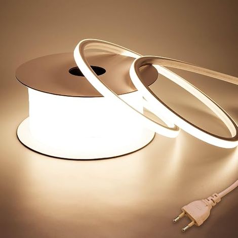 LED Strip Neon Outdoor Waterproof 220 V 10 m without Transformer (1/5)