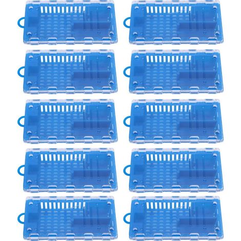 Cage pour transport de reines en plastique – 10 cages de transport pour apiculteurs (bleu) (1/5)