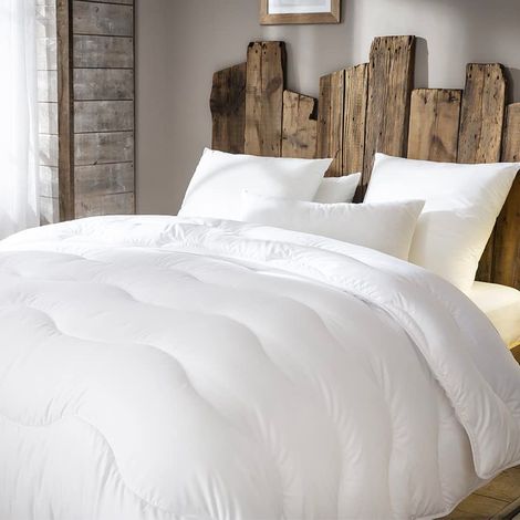 Couette hiver chaude Thermofill 350g 200 x 200 cm pour lit 1 place ABEIL (1/5)