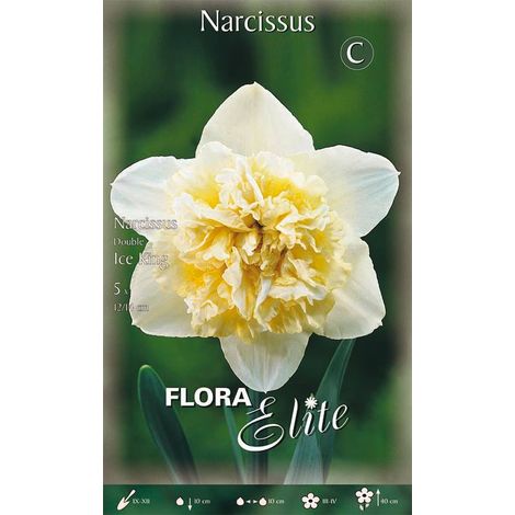Bulbi di Narciso Double Ice King 5 Bulbi