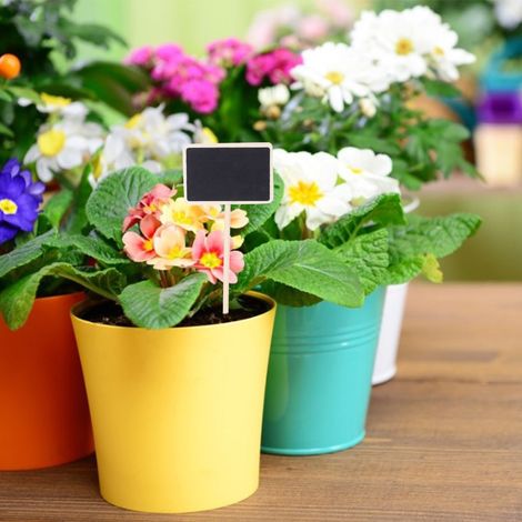 Lot de 10 mini tableaux noirs en bois avec étiquettes pour plantes, tige ronde allongée, idéal pour le jardin ou les mariages. (1/5)