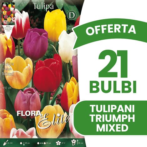 OFFERTA 21 BULBI AUTUNNALI TULIPANO TRIUMPH MIX DI COLORI BULBS BULBES