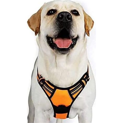 Harnais Chien XL Arnais Orange Anti Traction Réfléchissant Gilet Réglable pour Chien Grand Taille, Attache Devant Crochet de Laisse pour Trajet Voiture, American Staff, Border Collier-Ensoleillé (1/5)