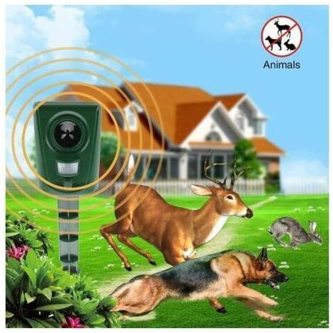 Dispositivo Ultrasuono Antigatto 2023, Impermeabile per Giardini, Campi, Vivaisti, Con Pali da Terra, Protegge da Cani, Gatti e Uccelli (1/4)