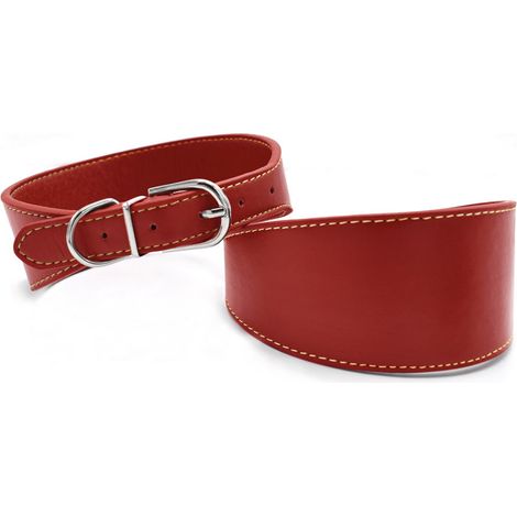 N - 5 x 28-36 cm collare: (1/3)