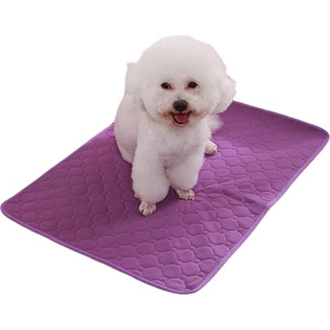 Tapis de dressage lavable pour chien PIPI Tapis (1/5)