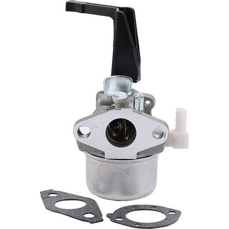 Carburateur Compatible avec Briggs &Stratton 696065 697422 110402 110412 215369 Motoculteur Pièces de Rechange Carburateur Carb H418 (1/5)